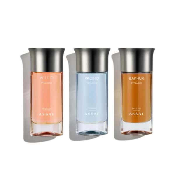 coffret Pegasus Karim Benzema Assaf